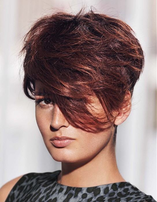 Short Brown Hairstyles